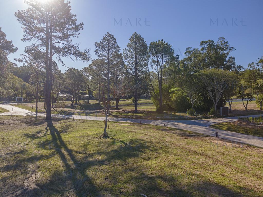 Land of 1,007 m² in Aura – Forest Sector
