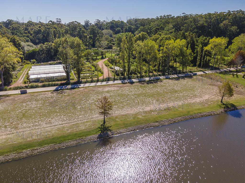 1,000 m² plot of land in Aura – Laguna Sector