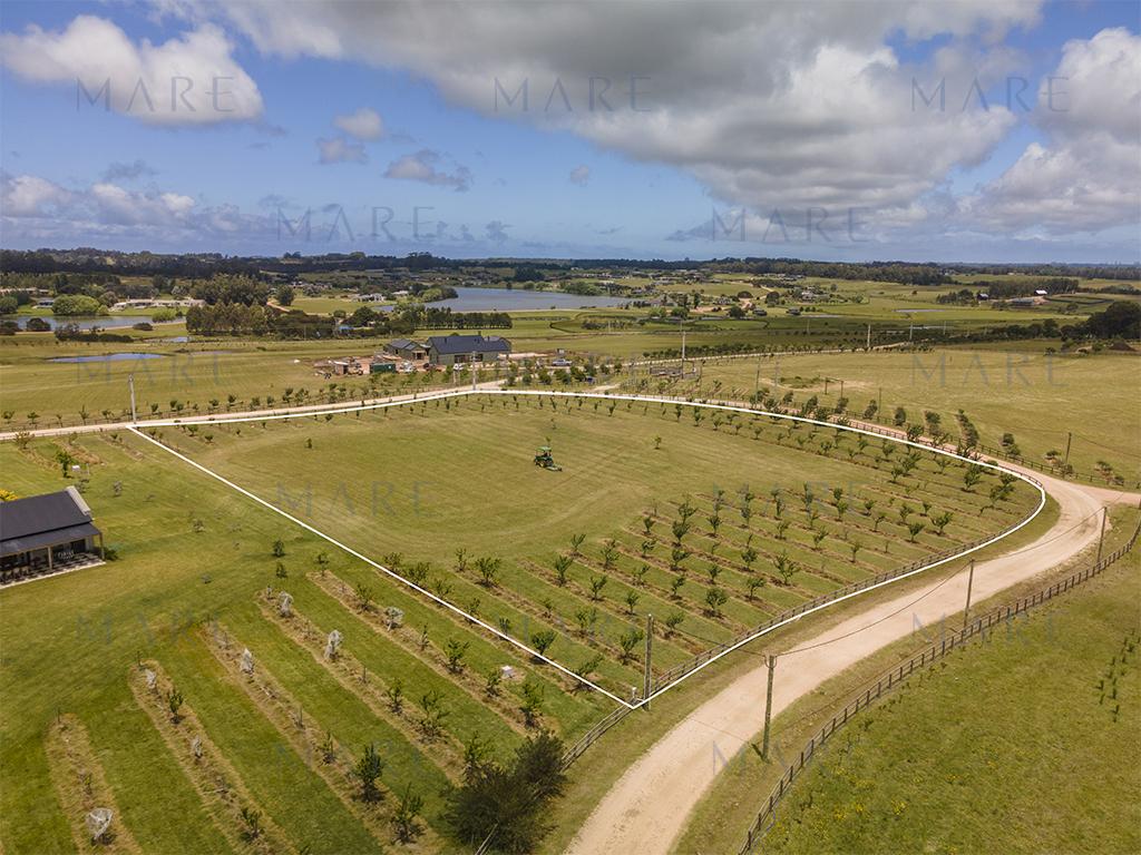 Farm in Narbona Plantation