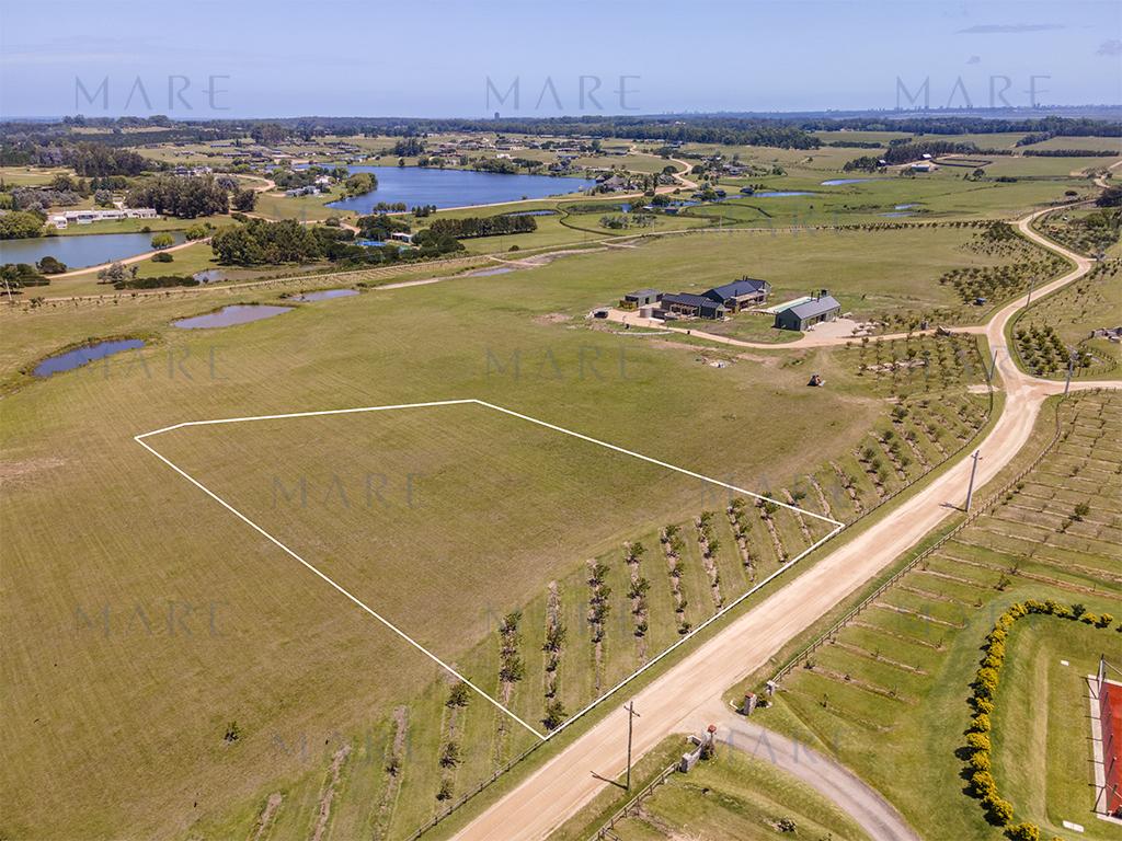Farm in Plantation Narbona – 1.14 ha