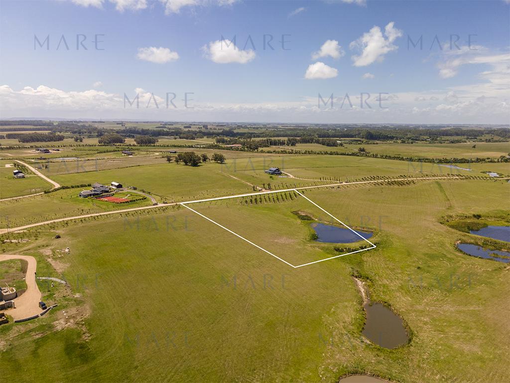 Farm in Plantation Narbona – 1.13 ha