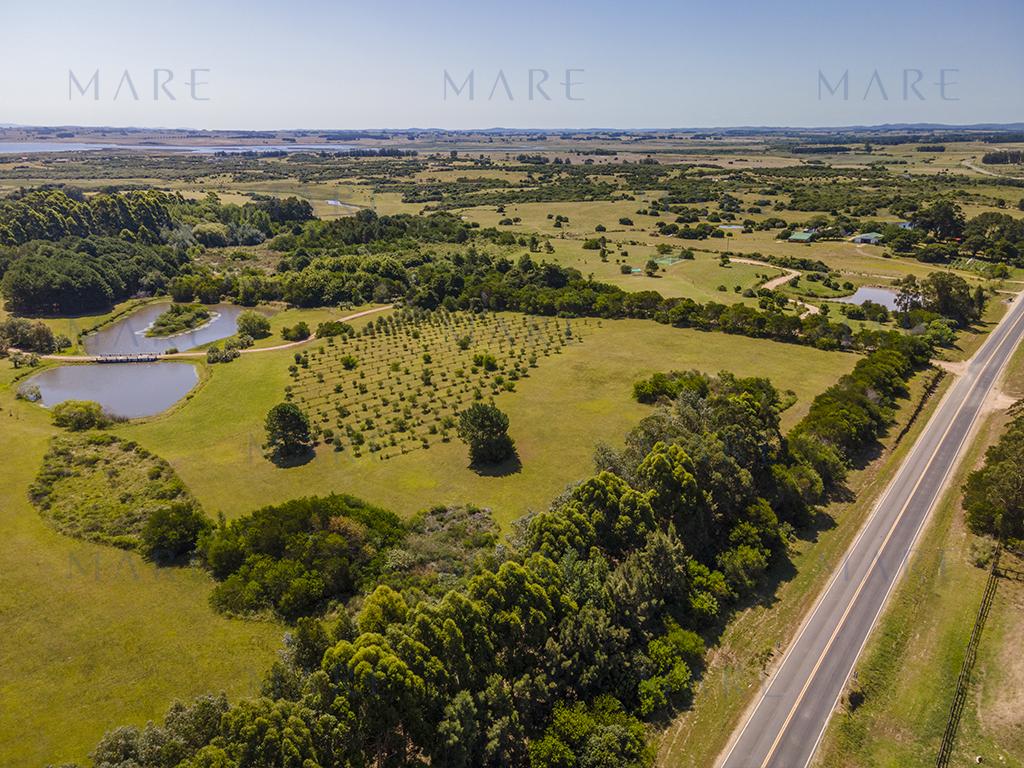 3-hectare farm in Jose Ignacio - Photo 4