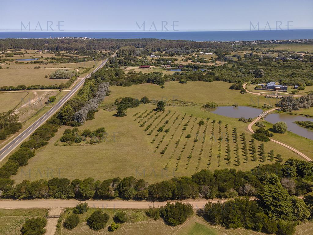3-hectare farm in Jose Ignacio - Photo 5