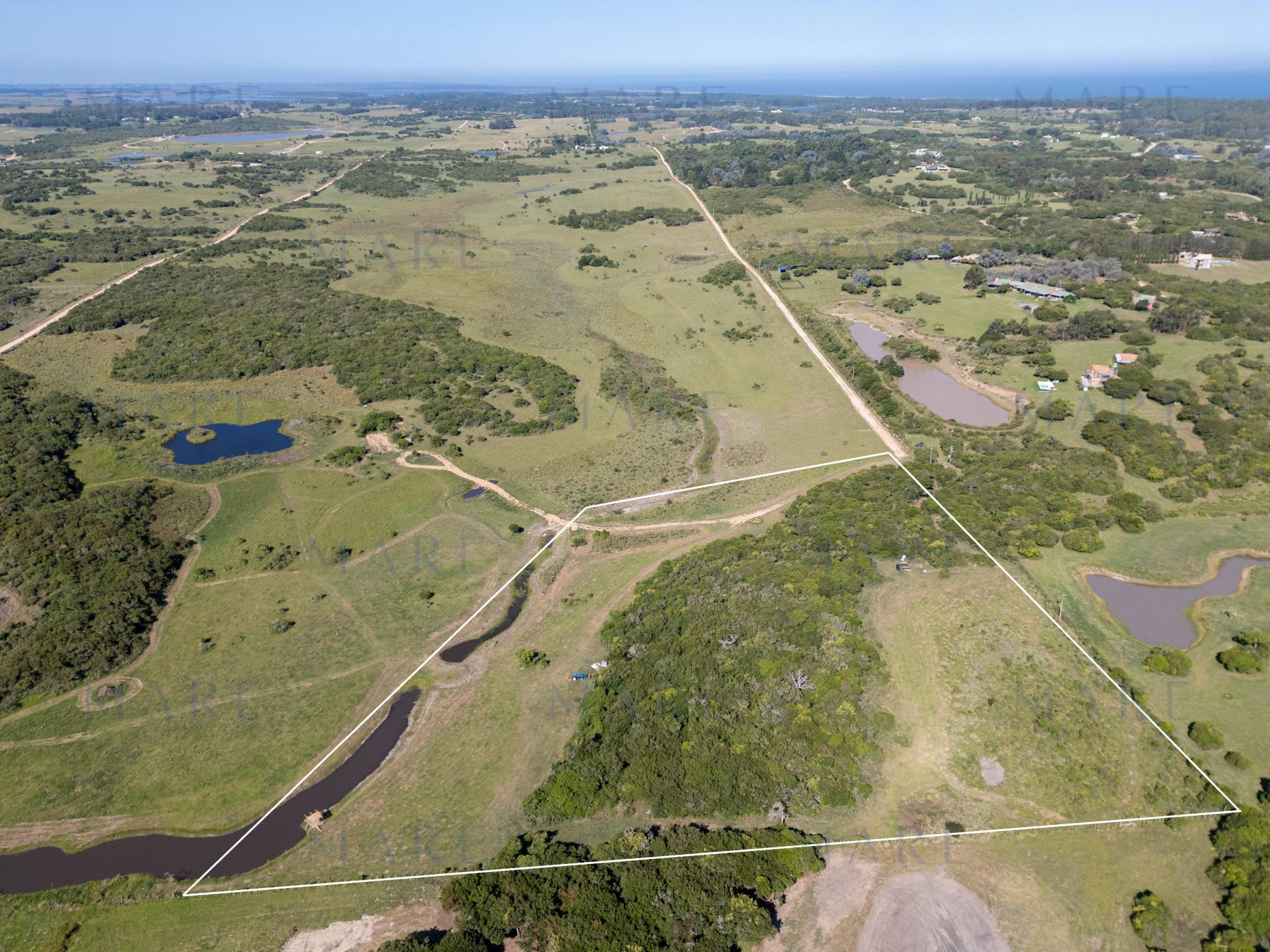 Chacra de 3 has con Vistas Abiertas a la Laguna de José Ignacio - Foto 4
