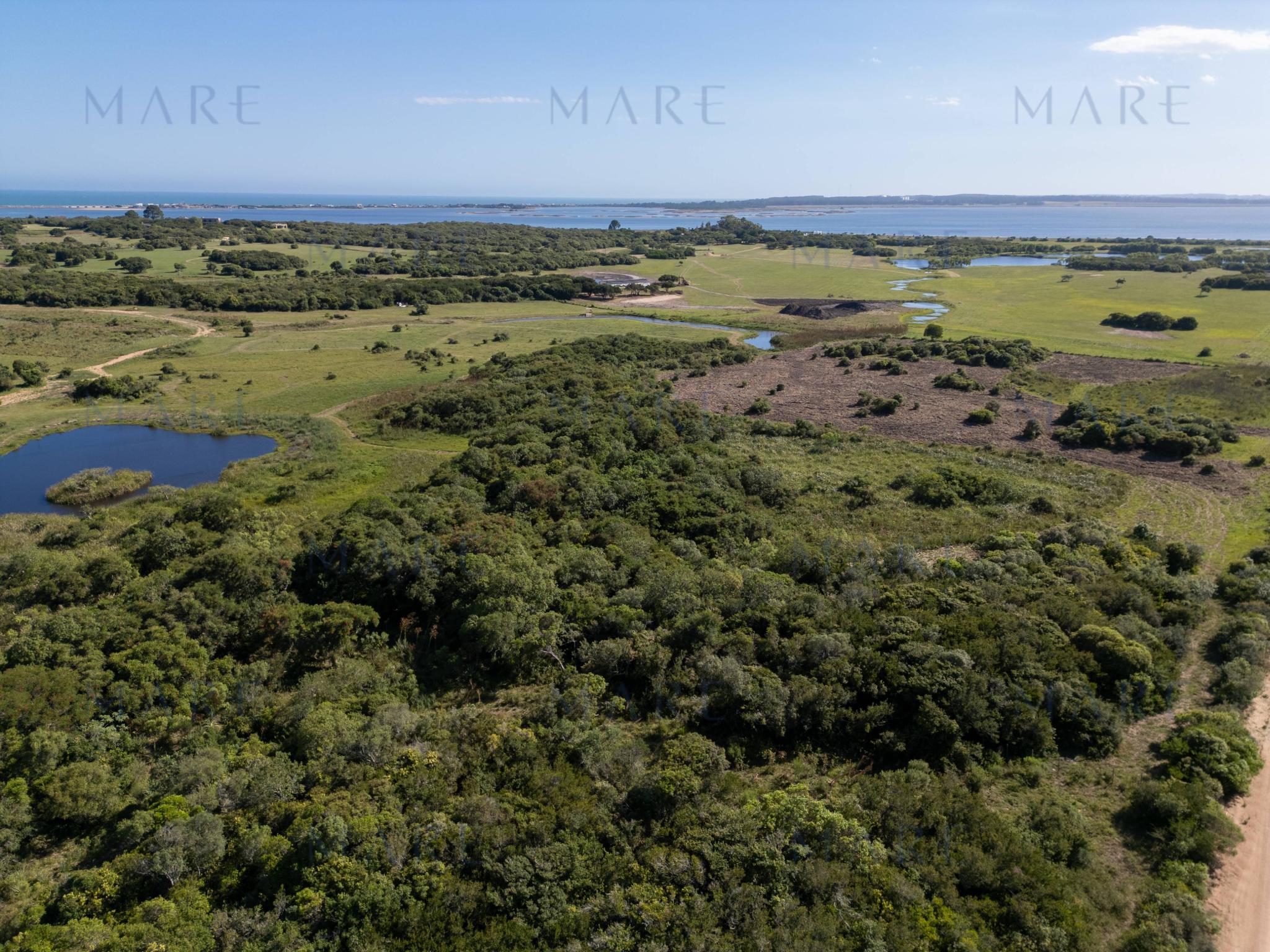 Chacra de 3 has con Vistas Abiertas a la Laguna de José Ignacio - Foto 5