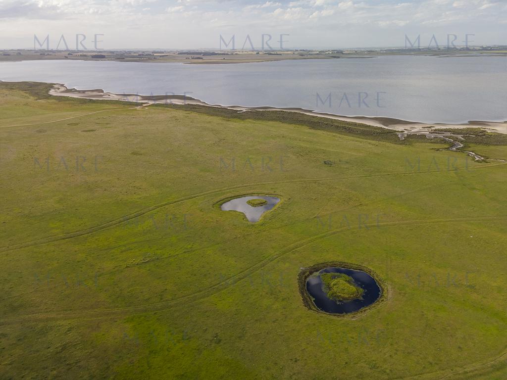 Farm with Open Views of the José Ignacio Lagoon - Photo 5