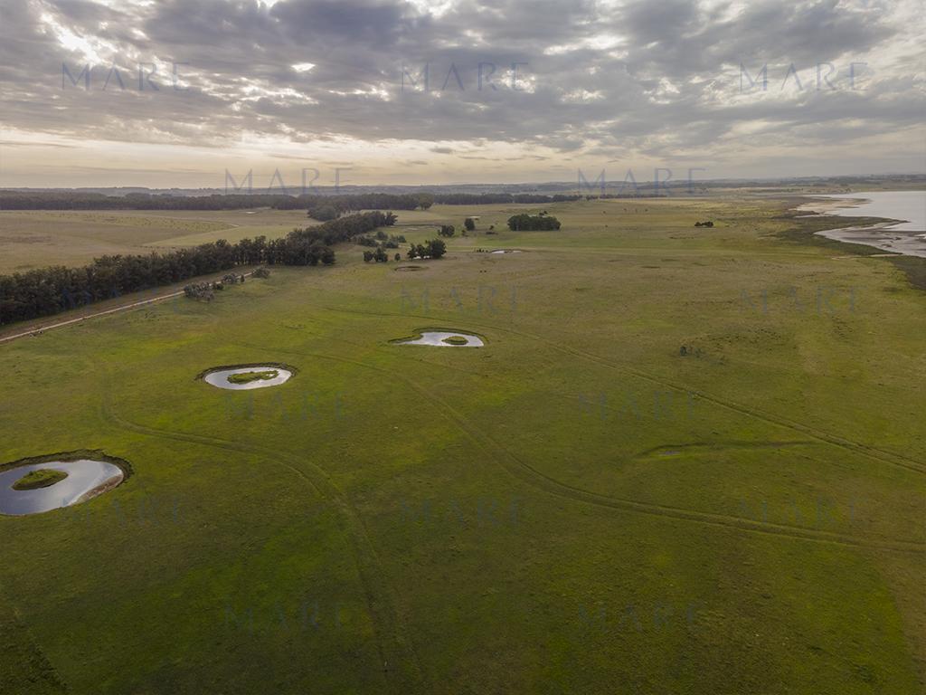 Farm with Open Views of the José Ignacio Lagoon - Photo 8