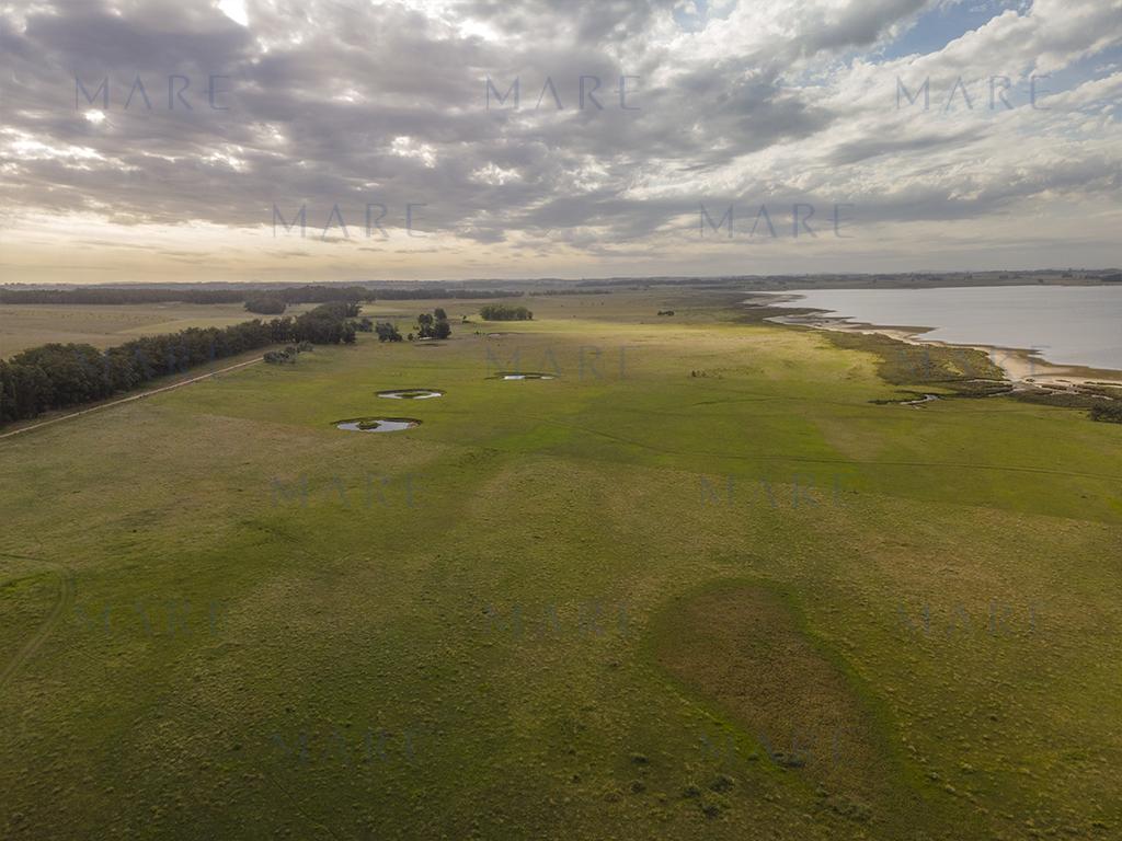 Farm with Open Views of the José Ignacio Lagoon - Photo 9