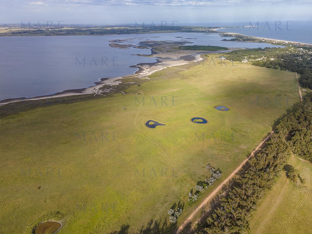 Farm with Open Views of the José Ignacio Lagoon - Photo 4