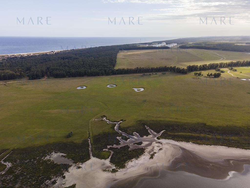 Farm with Open Views of the José Ignacio Lagoon - Photo 6