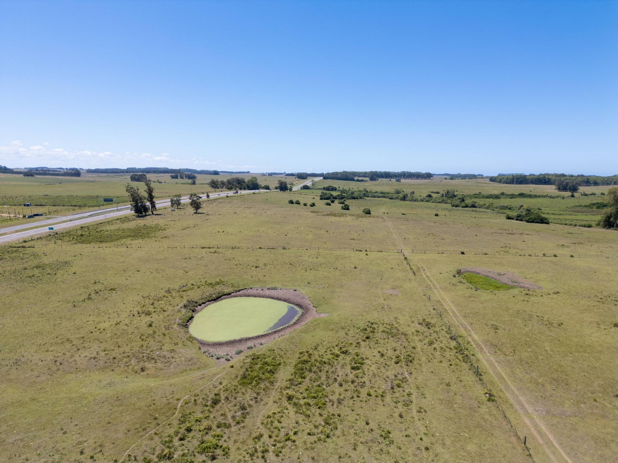 92 Strategic Hectares for Residential and Commercial Development on Route 9 - Photo 7