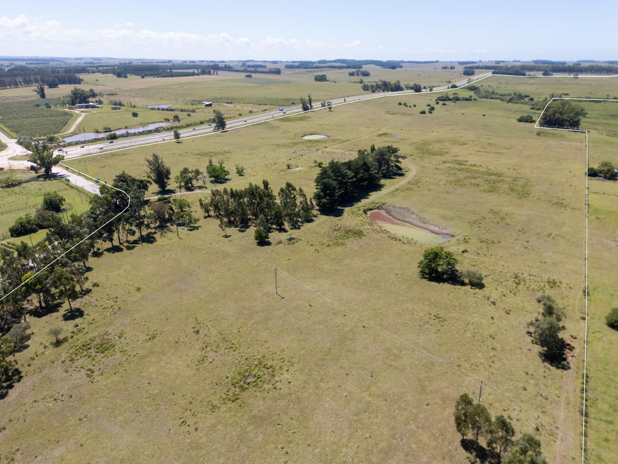 92 Strategic Hectares for Residential and Commercial Development on Route 9 - Photo 9