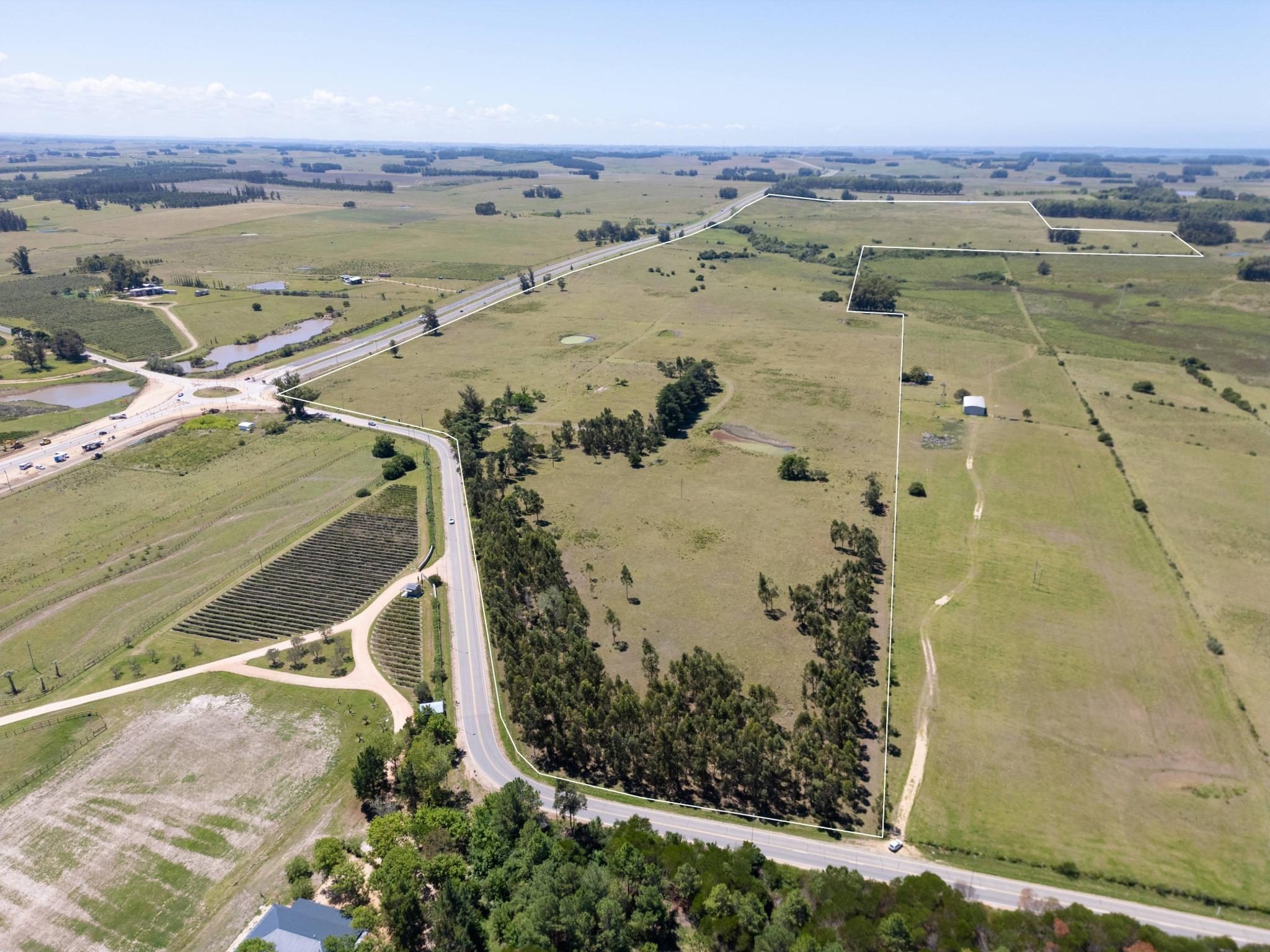 92 Strategic Hectares for Residential and Commercial Development on Route 9 - Photo 8