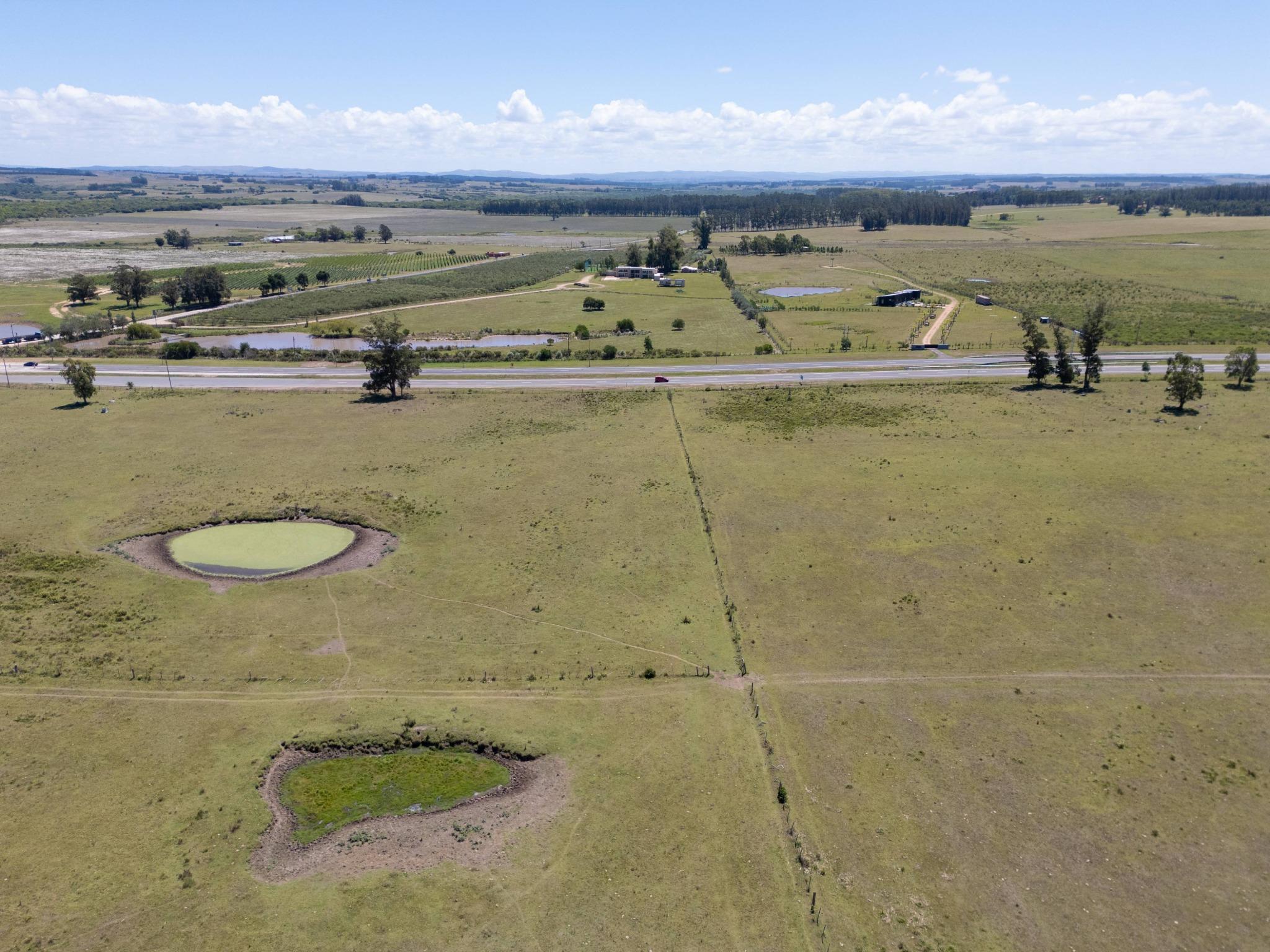 92 Strategic Hectares for Residential and Commercial Development on Route 9 - Photo 5