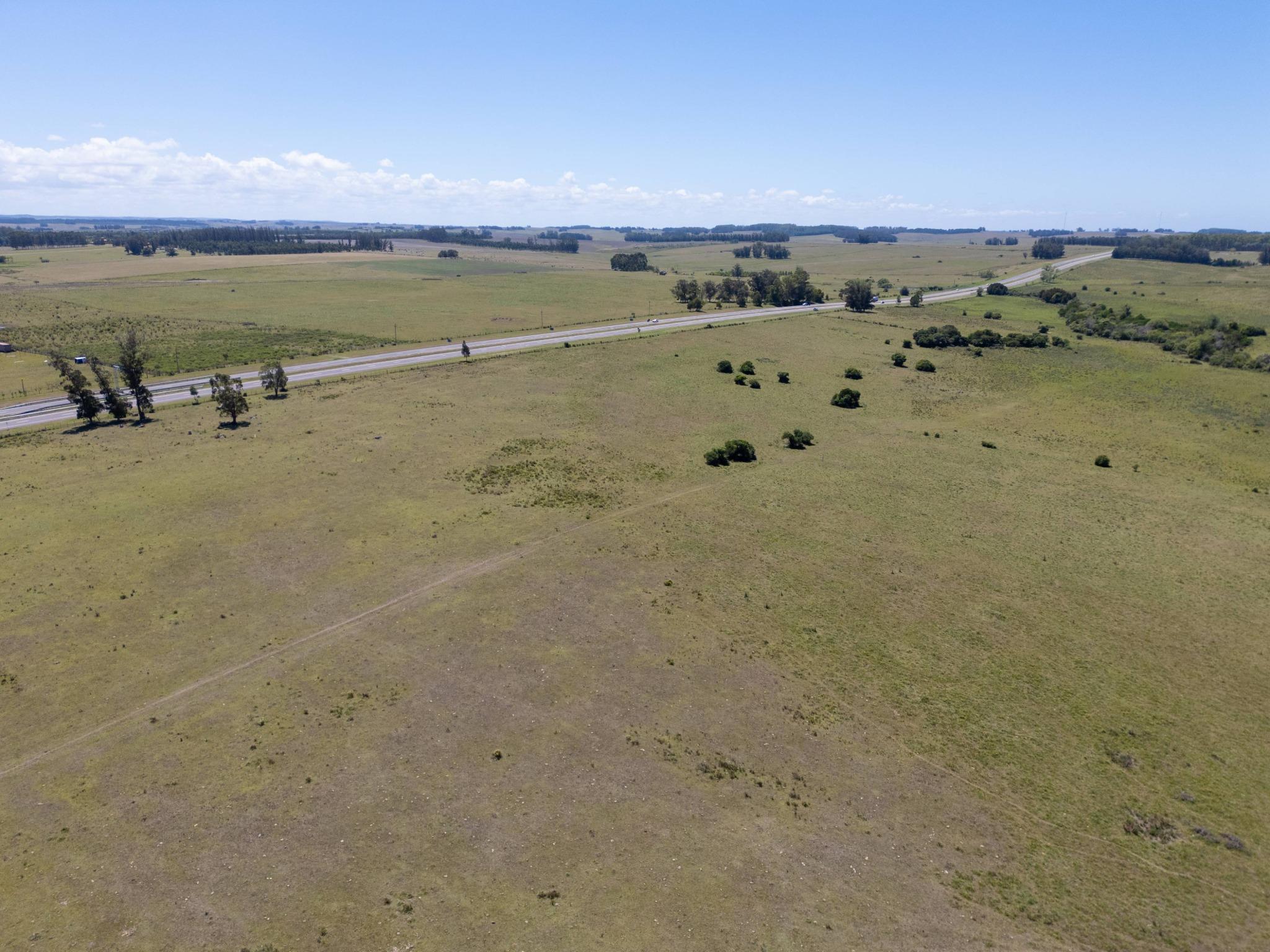 92 Strategic Hectares for Residential and Commercial Development on Route 9 - Photo 3