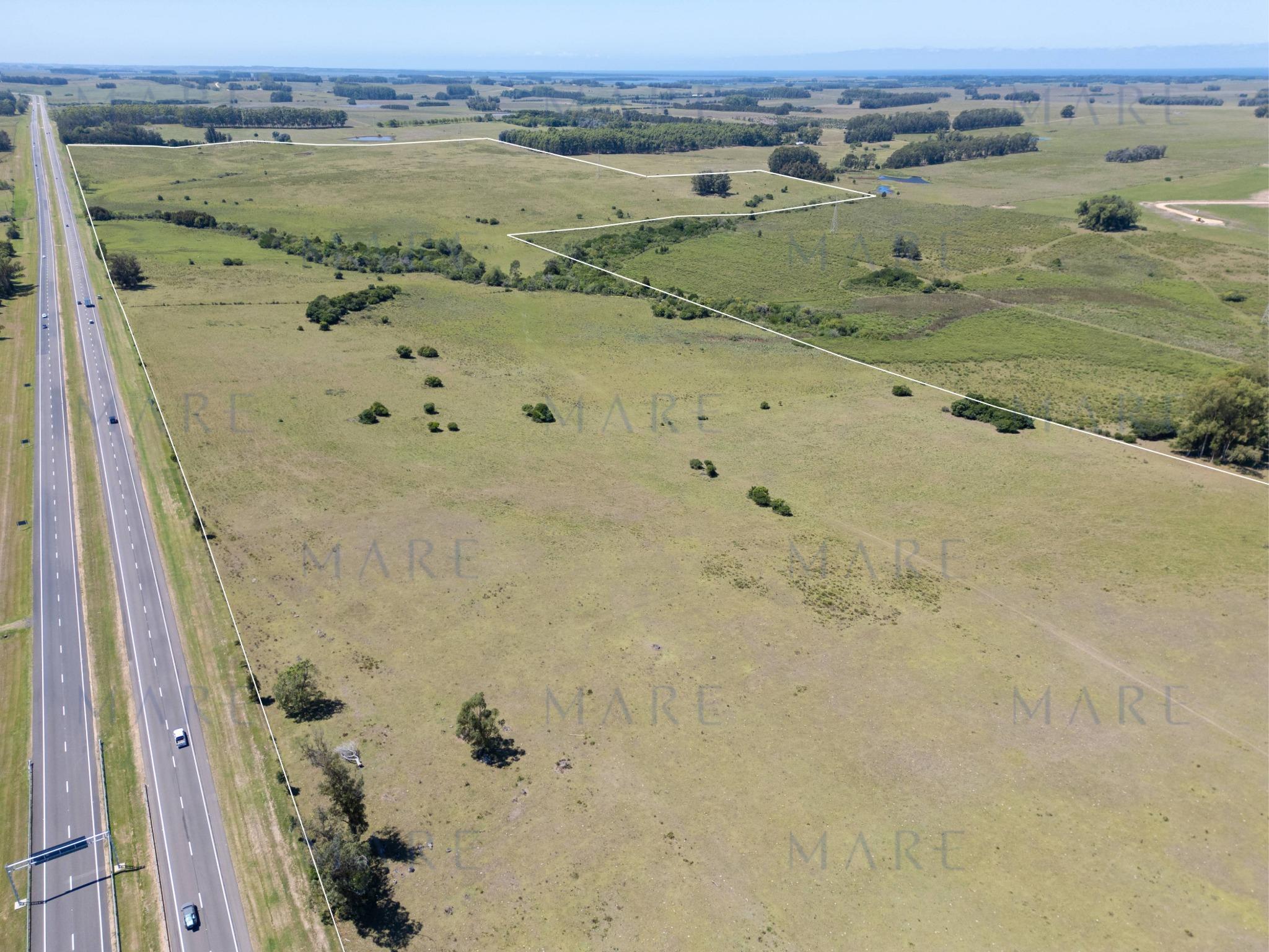 92 Strategic Hectares for Residential and Commercial Development on Route 9 - Photo 6
