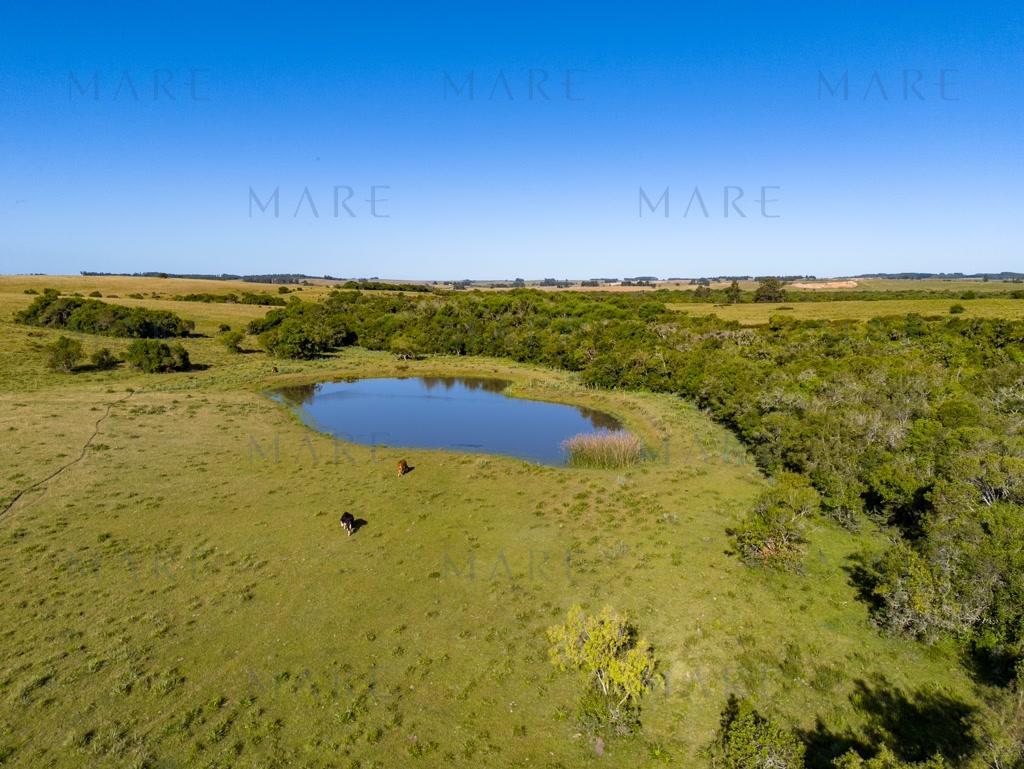 Campo de 177 Has con Frente sobre el Arroyo José Ignacio - Foto 36