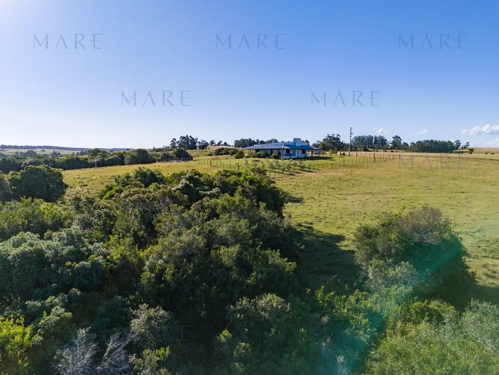 Campo de 177 Has con Frente sobre el Arroyo José Ignacio - Foto 47
