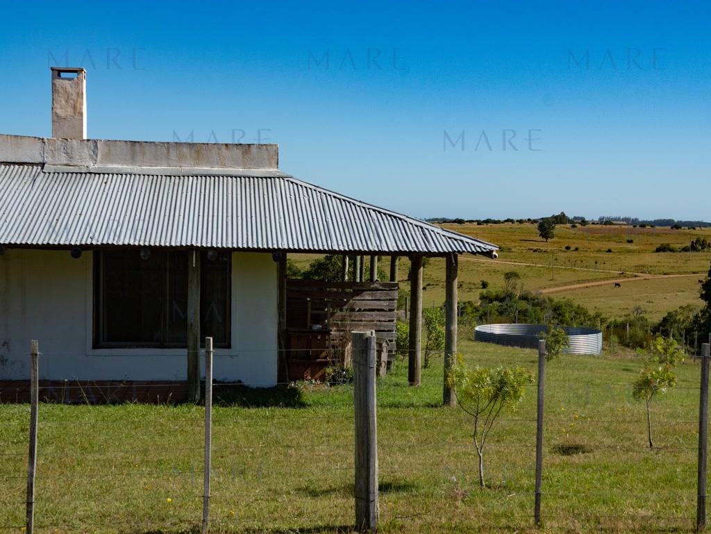 Campo de 177 Has con Frente sobre el Arroyo José Ignacio - Foto 20