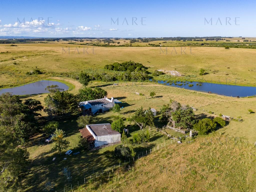 Campo de 177 Has con Frente sobre el Arroyo José Ignacio - Foto 40