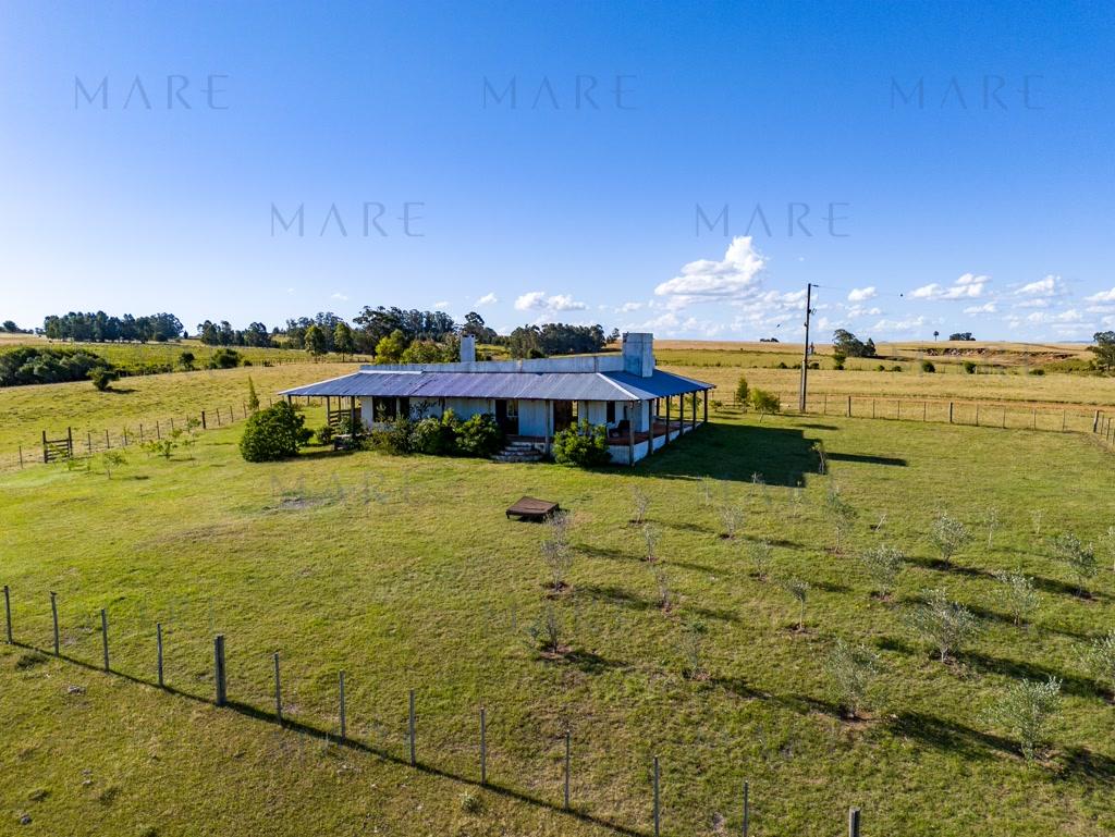 Campo de 177 Has con Frente sobre el Arroyo José Ignacio - Foto 8
