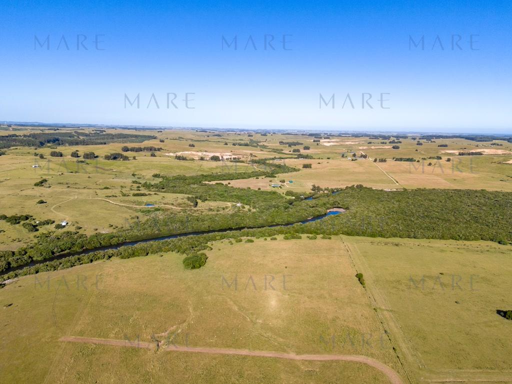Campo de 177 Has con Frente sobre el Arroyo José Ignacio - Foto 45