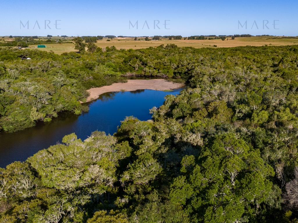 Campo de 177 Has con Frente sobre el Arroyo José Ignacio - Foto 48