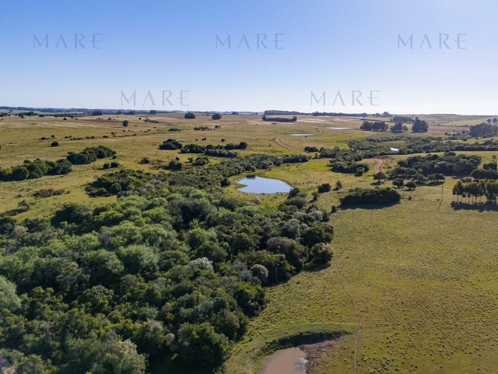 Campo de 177 Has con Frente sobre el Arroyo José Ignacio - Foto 46
