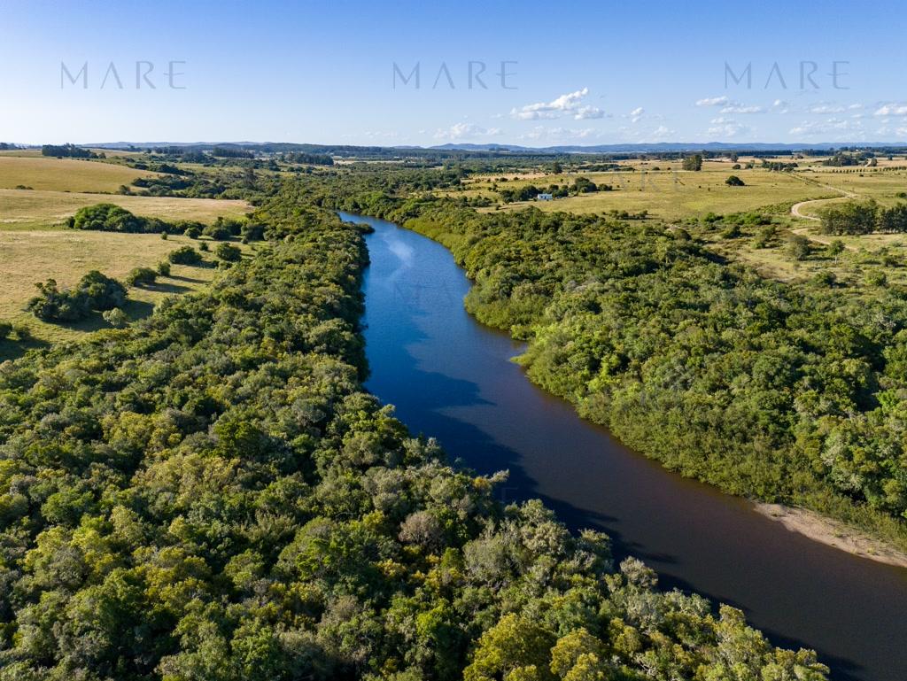 Campo de 177 Has con Frente sobre el Arroyo José Ignacio - Foto 49