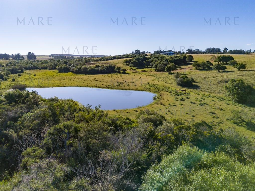 Campo de 177 Has con Frente sobre el Arroyo José Ignacio - Foto 39
