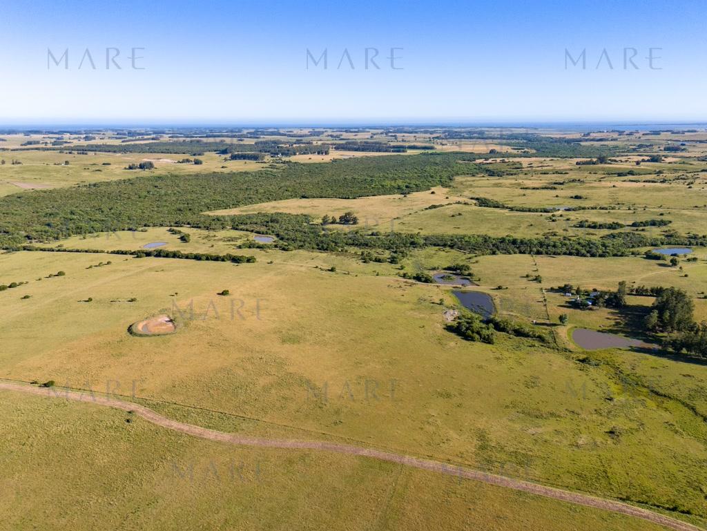Campo de 177 Has con Frente sobre el Arroyo José Ignacio - Foto 6