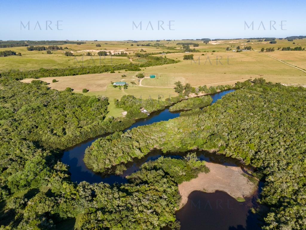 Campo de 177 Has con Frente sobre el Arroyo José Ignacio - Foto 50