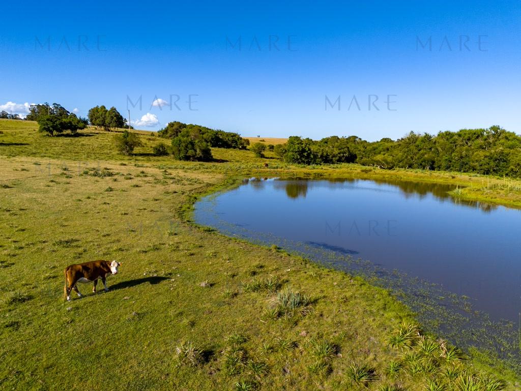 Campo de 177 Has con Frente sobre el Arroyo José Ignacio - Foto 37