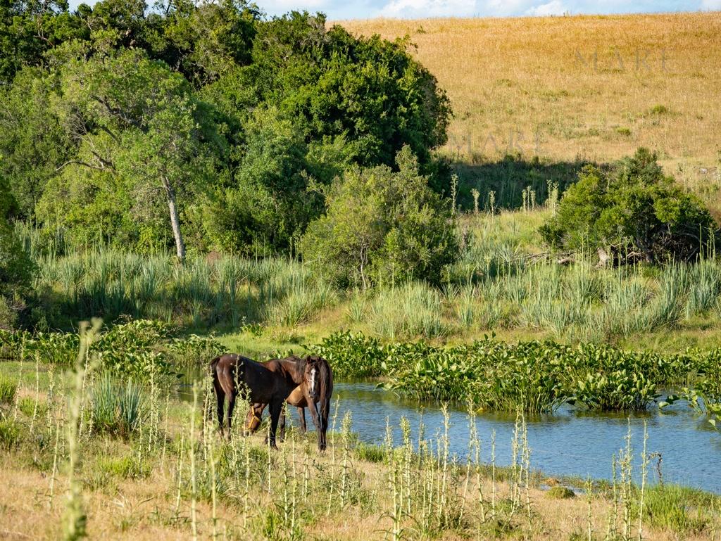 Campo de 177 Has con Frente sobre el Arroyo José Ignacio - Foto 31