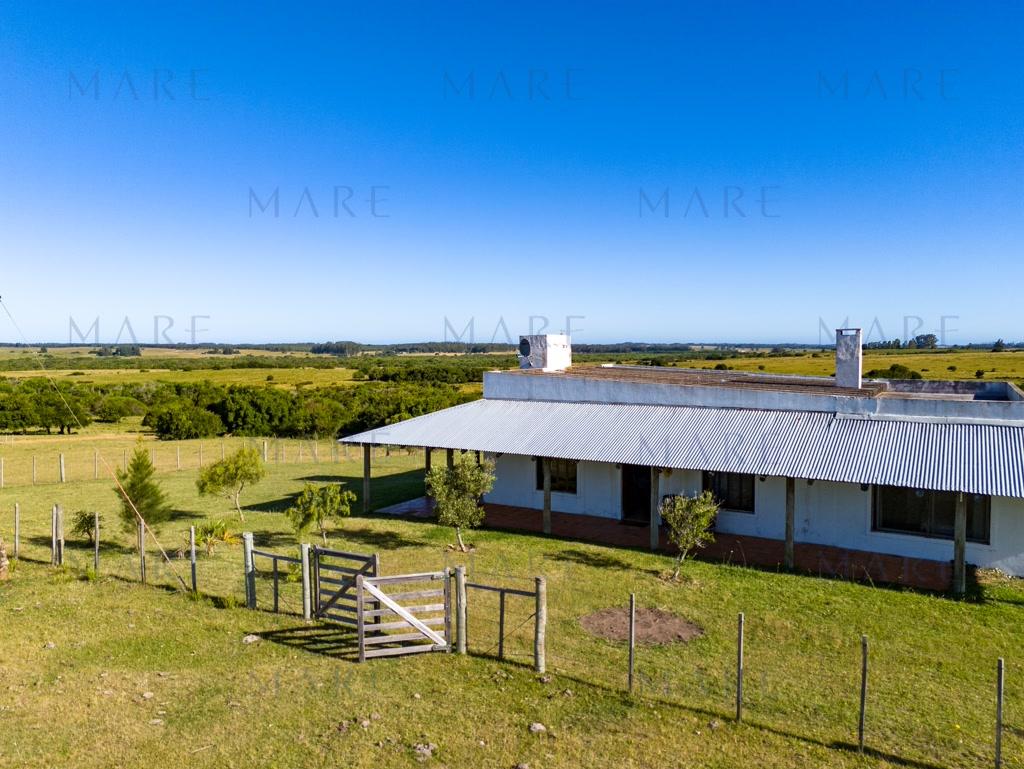 Campo de 177 Has con Frente sobre el Arroyo José Ignacio - Foto 10