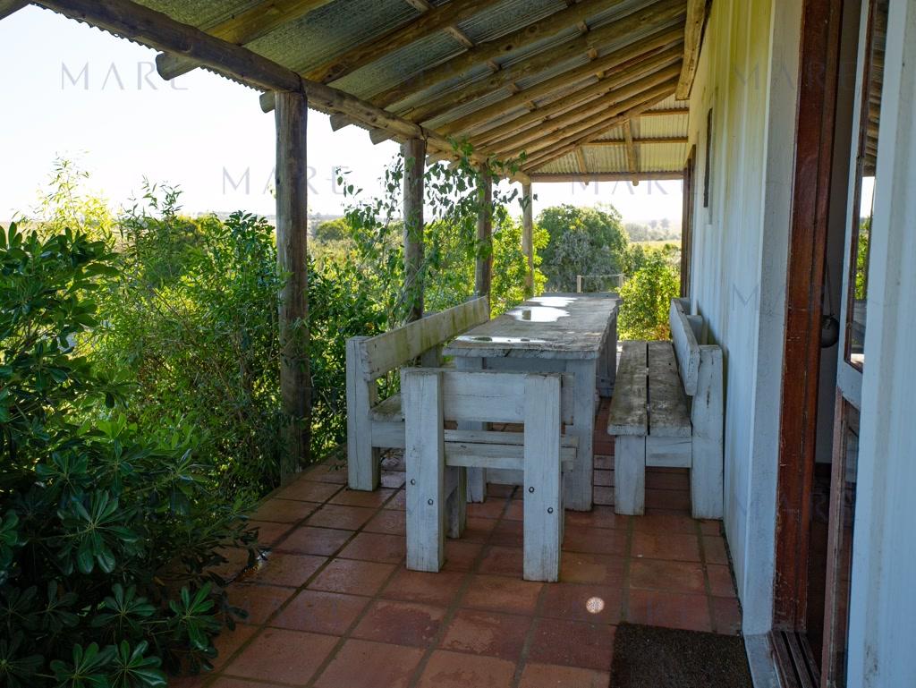 Campo de 177 Has con Frente sobre el Arroyo José Ignacio - Foto 17