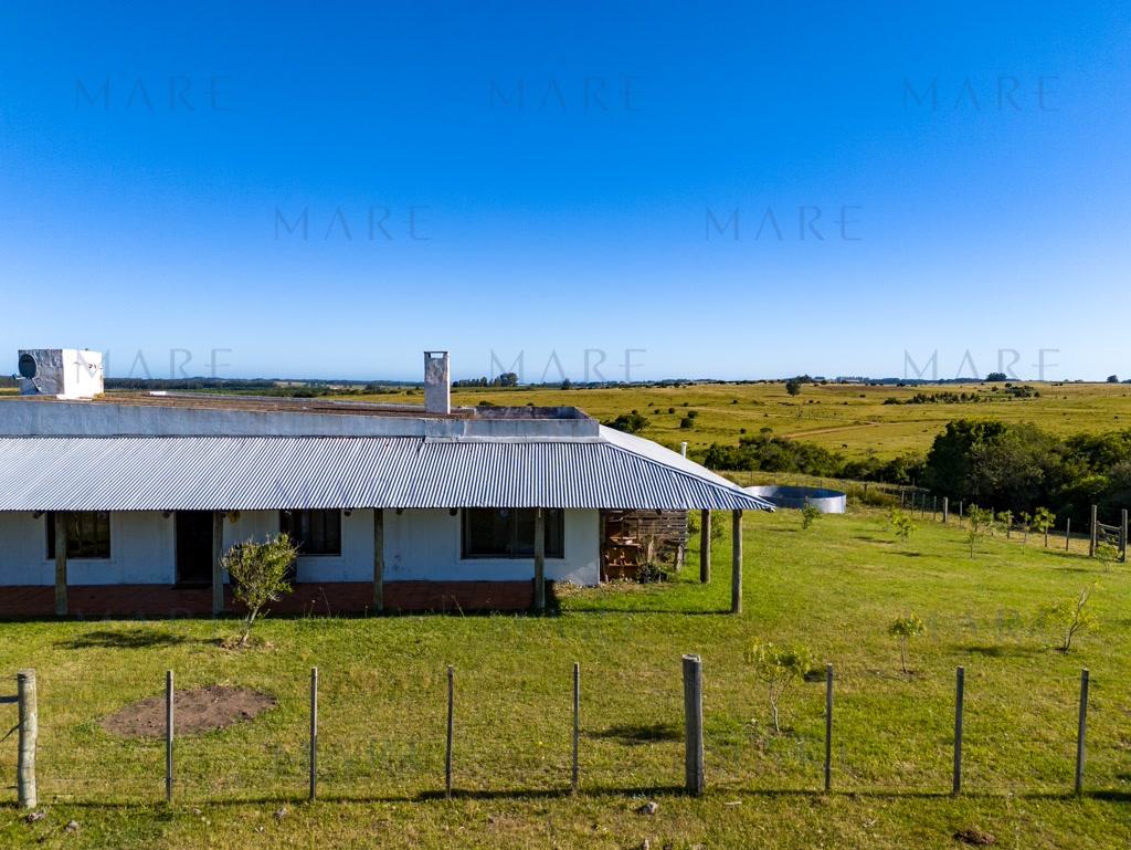 Campo de 177 Has con Frente sobre el Arroyo José Ignacio - Foto 11