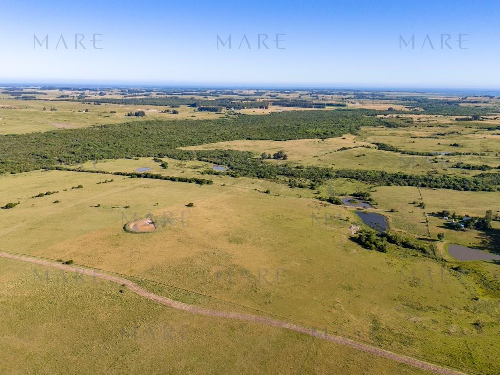 Campo de 177 Has con Frente sobre el Arroyo José Ignacio - Foto 42