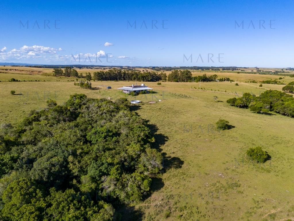 Campo de 177 Has con Frente sobre el Arroyo José Ignacio - Foto 21