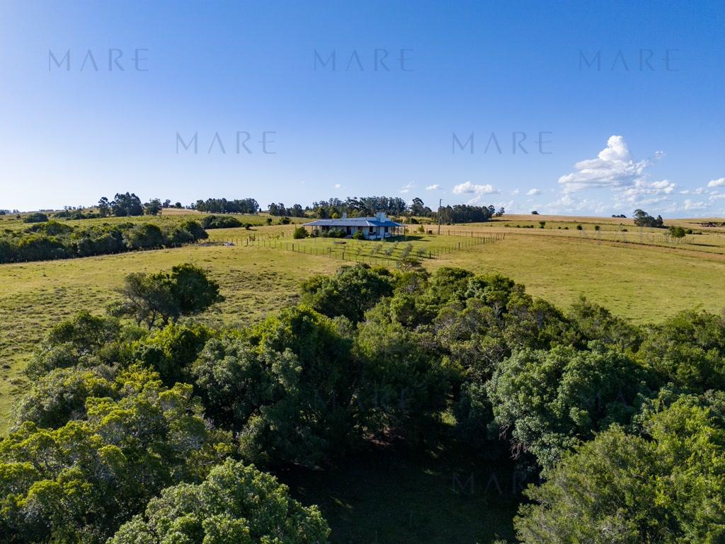Campo de 177 Has con Frente sobre el Arroyo José Ignacio - Foto 38