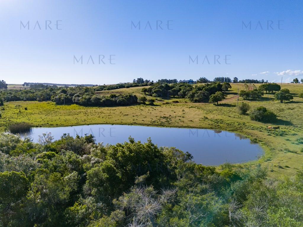 Campo de 177 Has con Frente sobre el Arroyo José Ignacio - Foto 3