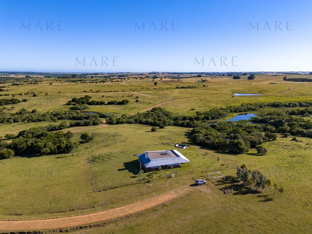 Campo de 177 Has con Frente sobre el Arroyo José Ignacio - Foto 9
