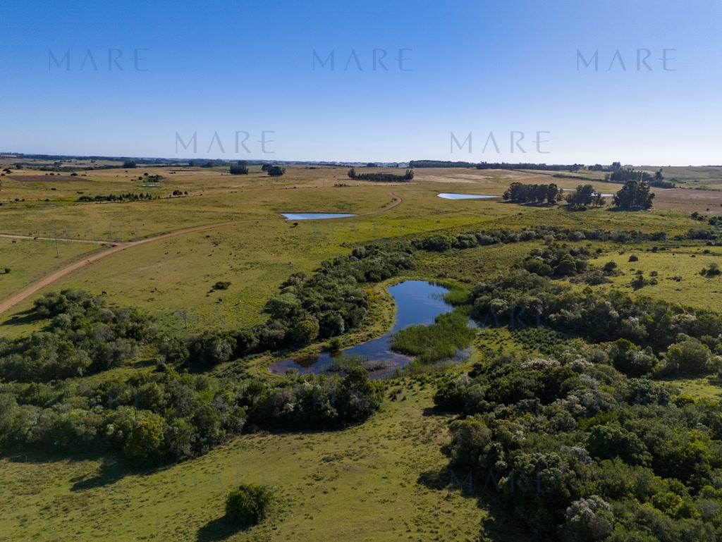 Campo de 177 Has con Frente sobre el Arroyo José Ignacio - Foto 2