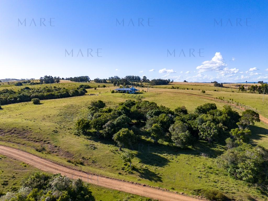 Campo de 177 Has con Frente sobre el Arroyo José Ignacio - Foto 33