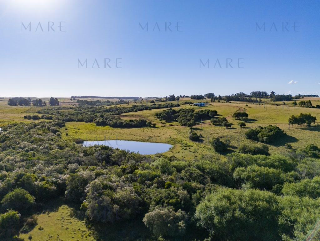 Campo de 177 Has con Frente sobre el Arroyo José Ignacio - Foto 44