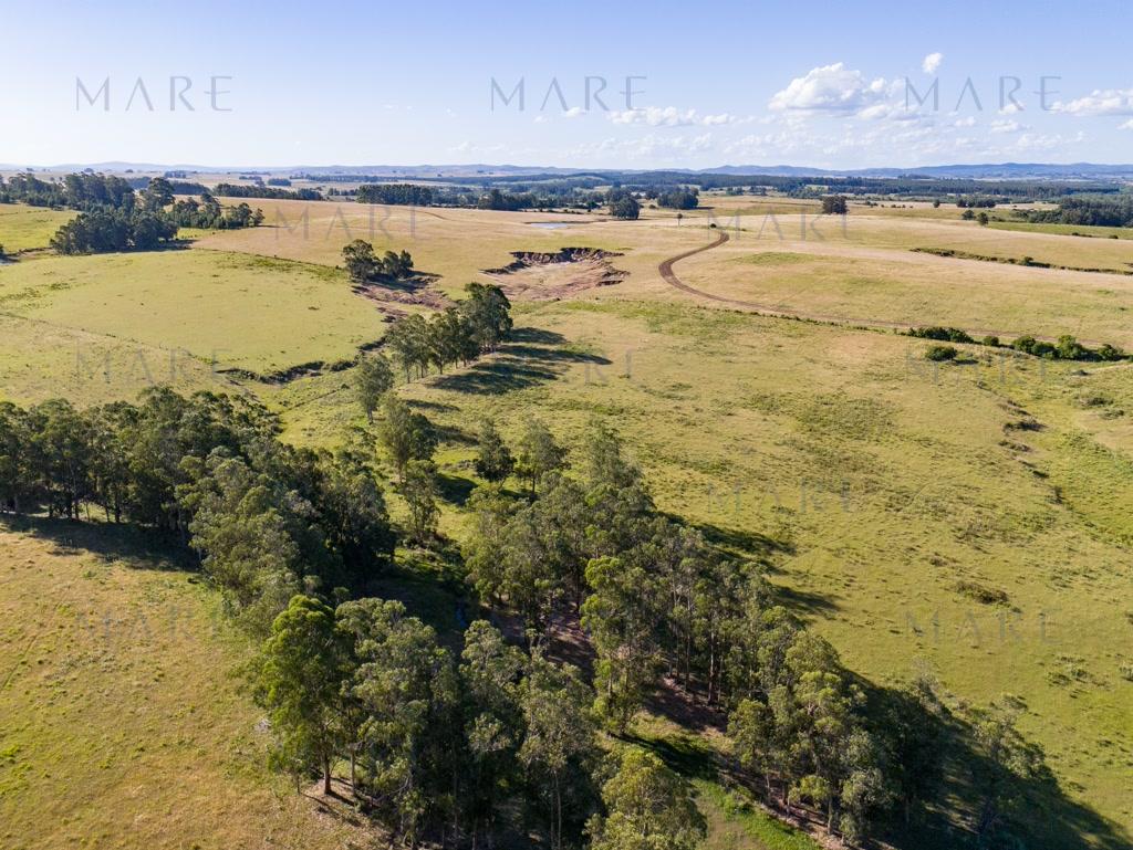 Campo de 177 Has con Frente sobre el Arroyo José Ignacio - Foto 41