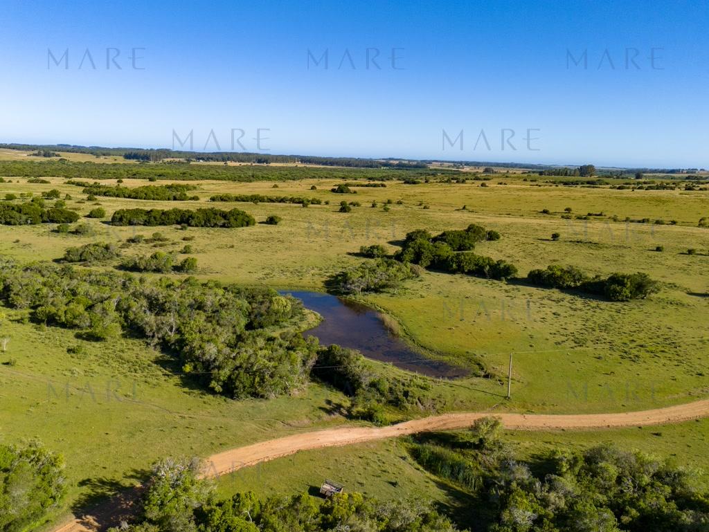 Campo de 177 Has con Frente sobre el Arroyo José Ignacio - Foto 56