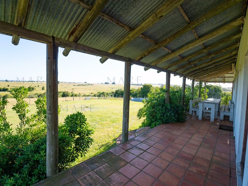 Campo de 177 Has con Frente sobre el Arroyo José Ignacio - Foto 19