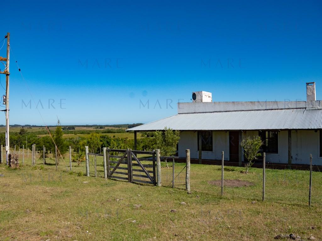 Campo de 177 Has con Frente sobre el Arroyo José Ignacio - Foto 18