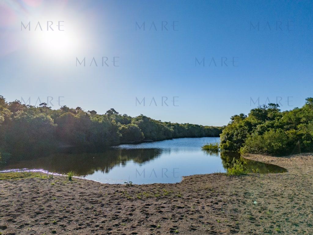 Campo de 177 Has con Frente sobre el Arroyo José Ignacio - Foto 52